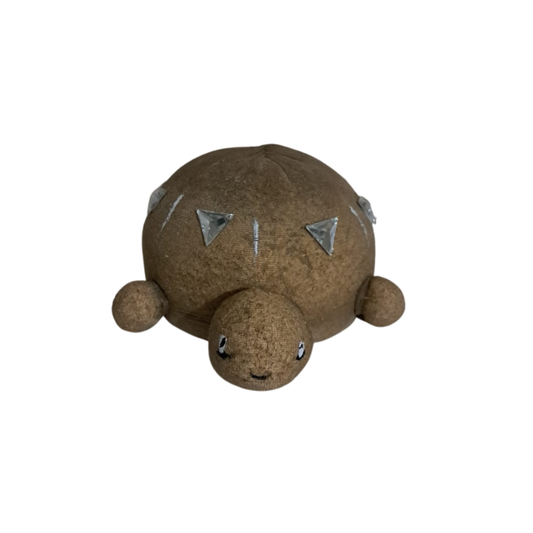 🐢 KoKo Turtle Buddy